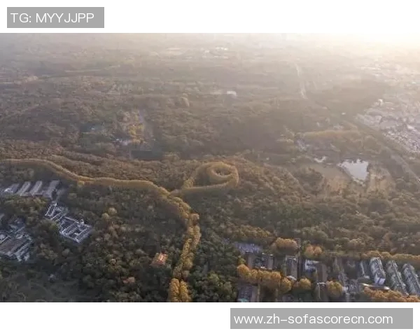 南京与沈阳的城市魅力对比探讨历史文化与现代发展的交融之美